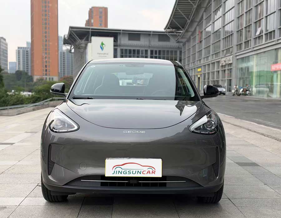 2025 Geely Starwish 410km Freedom - photo 4