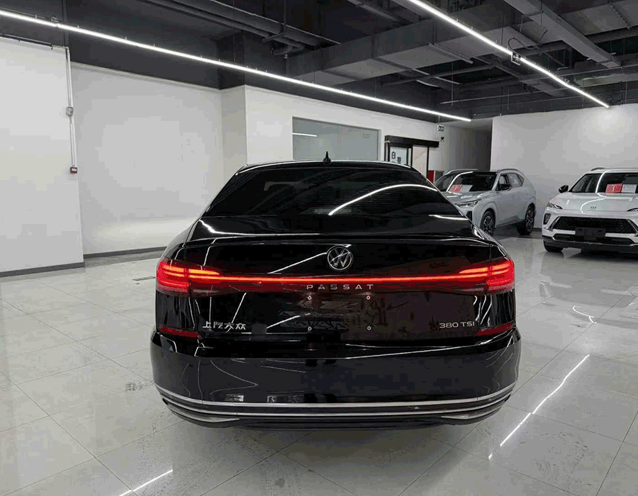 24 Passat 380 Édition Starry Sky Dragon