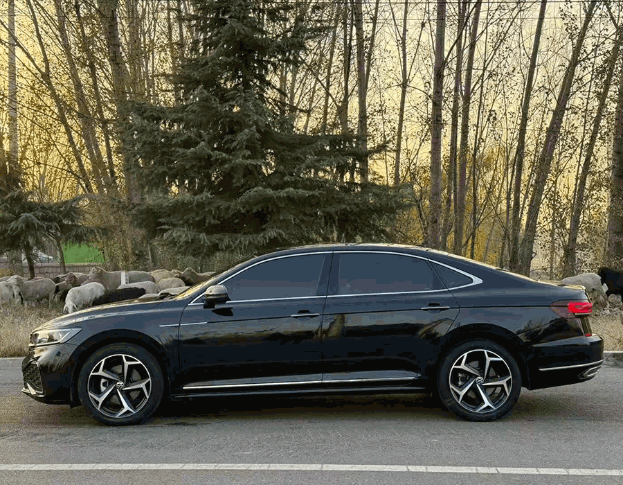 Passat 330TSI DSG Starry Sky Édition de luxe 2023 (65624 km)
