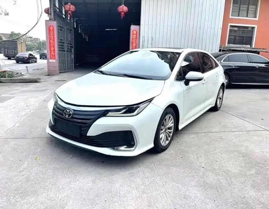 Asian Lion 2021, 2 L, édition de luxe (400 000 km)