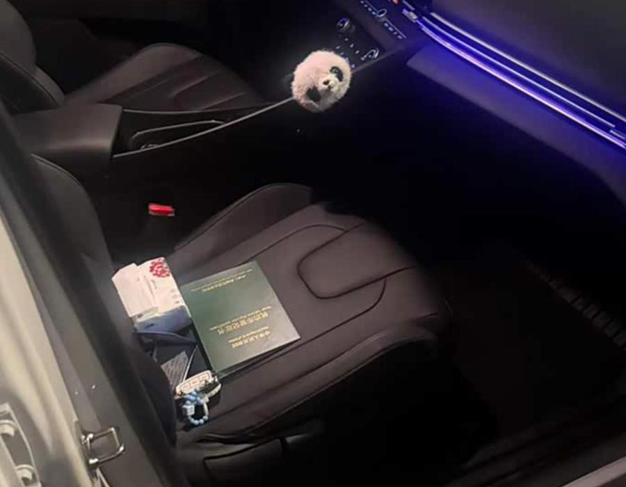 Hyundai Elantra 2023 1,5 L CVT TOP, édition phare (100 km)