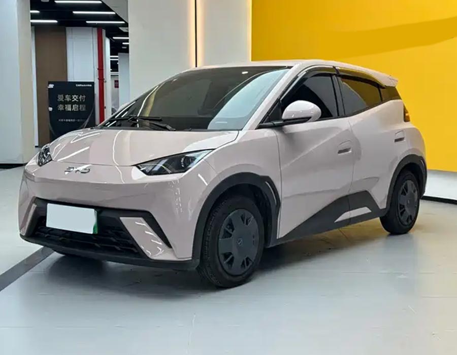 Seagull 2025 305 km Édition Vitality (3 000 km)