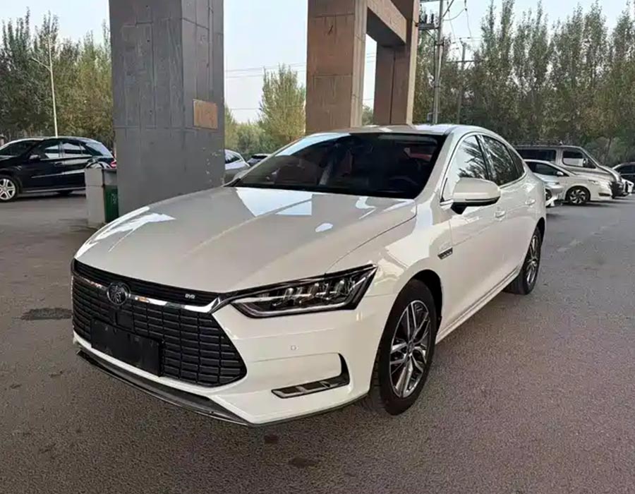 Qin Pro New Energy 2019 EV Super Power Edition High Power Smart Connect Leading Dynamic Edition (68 000 km)