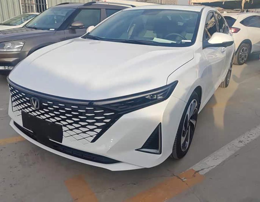 Raeton PLUS 2023 1.5T DCT Leading Comfort Edition (24 300 km)