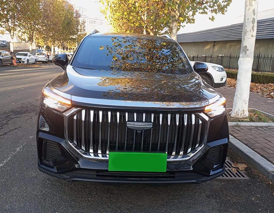 Haoyue L 2024 2.0T DCT Premium (59 000 km)