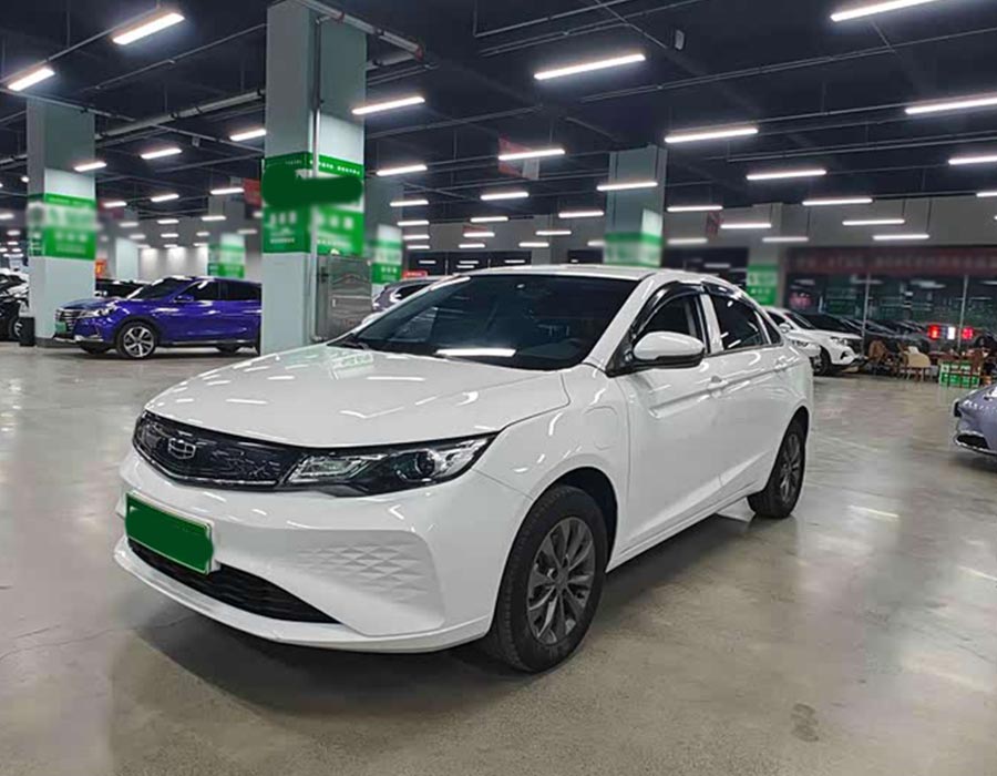 Emgrand EV 2021 EV Pro Comfort Edition (160 000 km)