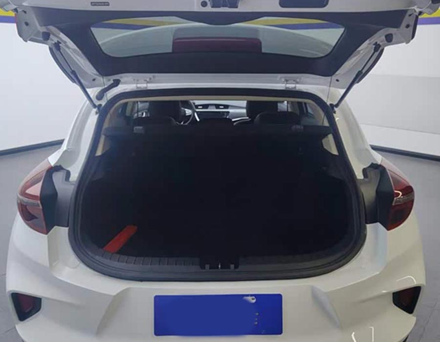 Emgrand GS 2020 1,4 T CVT Élégance (36600 km)