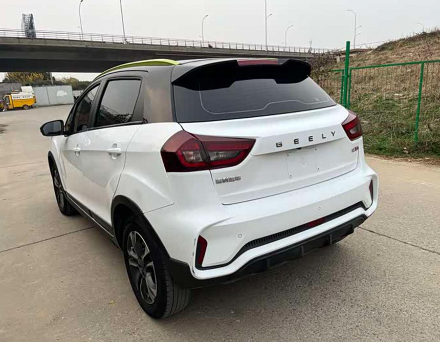 Géométrie EX3 Kungfu Cow 2021 Kungfu Bull (60000km)