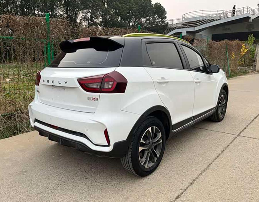 Géométrie EX3 Kungfu Cow 2021 Kungfu Bull (60000km)