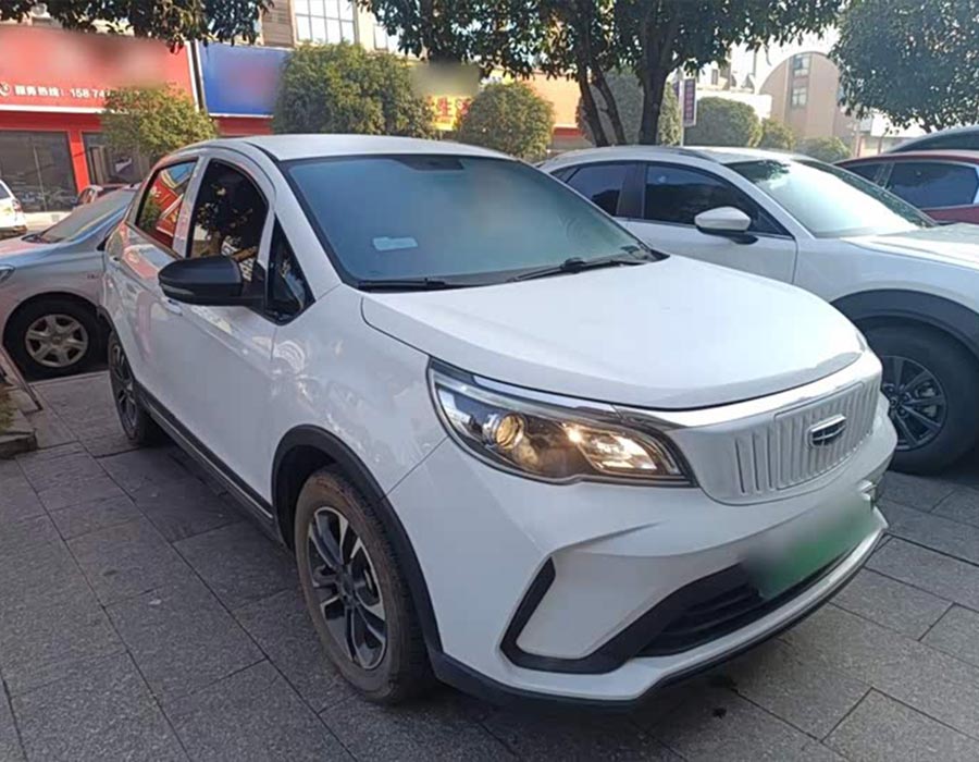 Geometry EX3 Kungfu Cow 2021 édition Strong Bull (19200 km)
