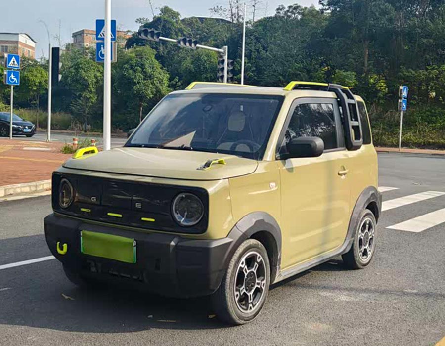 Panda 2024 Modèle 200 km Panda Knight (20 000 km)