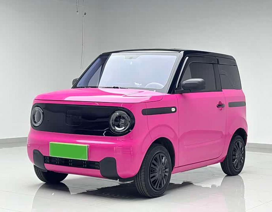 Panda 2025 Modèle Panda mini 210 km Vitality Bear (3000 km)