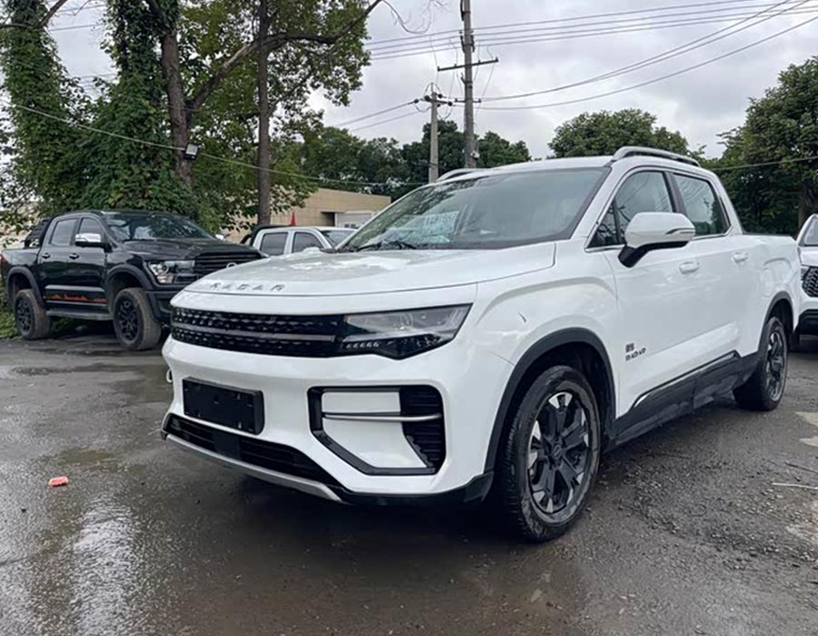 Geely Radar Horizon 2023, modèle 550 km, édition Maker (52 000 km)